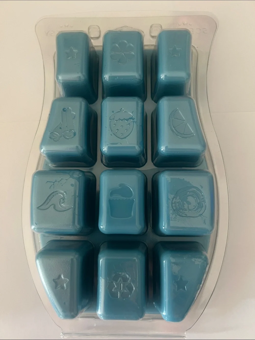 RETIRED/DISCONTINUED Scentsy Orchard by the Sea Scentsy Brick